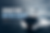 Sportfish Buyer's Guide Cover Image.png