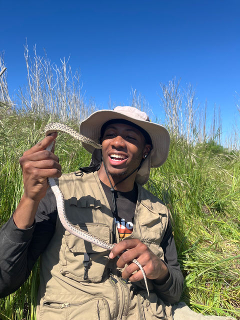 Di'Carlo holds up an island gopher snake, looking at it and smiling.