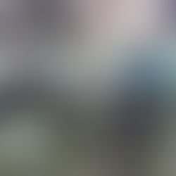 Pesquisador do LECIONAI é convidado a participar de banca avaliadora de Seminário de Pesquisa do Int