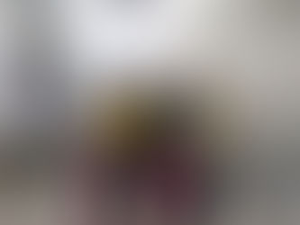 "Perfil dos nascidos vivos e a situação do aleitamento materno no município de Rio das Ostras&q