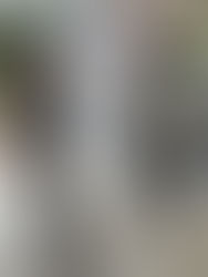 Estudantes do LECIONAI apresentam trabalho no I Encontro Internacional Inovação no Ensino na Saúde e