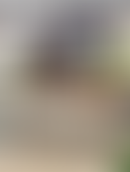 My Experience at NHS Finals