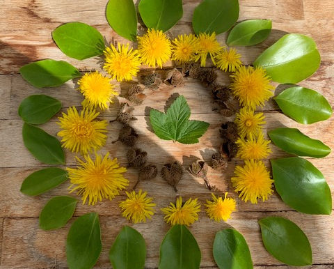 Pictures From Nature