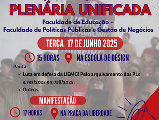 PLENÁRIA UNIFICADA EM BELO HORIZONTE