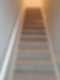 8918475320485832544.jpg.jpeg