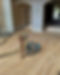 Sanding Flooring 