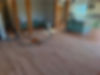 Sanding Floors 