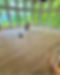 Refinishing Flooring 