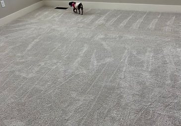 Carpet Installation