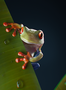 image.png