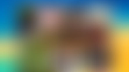 REPLAY RZ / C'est dans la boite - Michel Quiot présente : Champignons, leur histoire et utilité (11 2025)