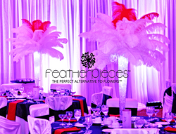 rent-ostrich-feather-centerpieces,-ostrich-feather-centerpiece,-ostrich-feathers