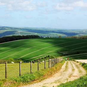Dorset Council - Briefing note on the proposed Dorset National Park