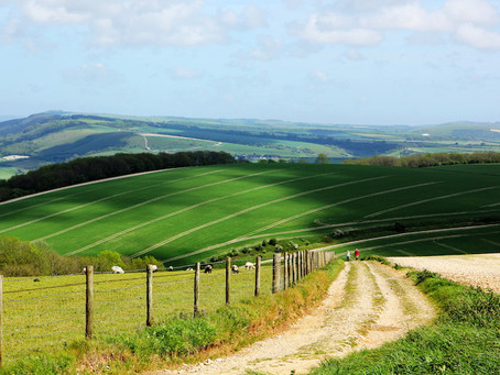 Dorset Council - Briefing note on the proposed Dorset National Park