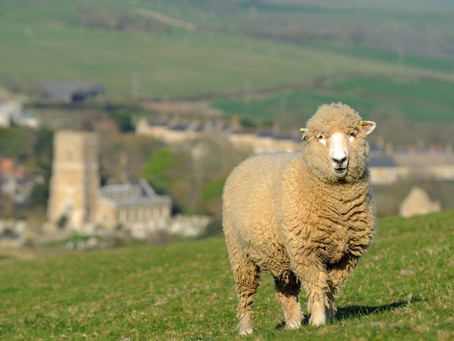 A National Park for Dorset: The Opportunity of a Lifetime
