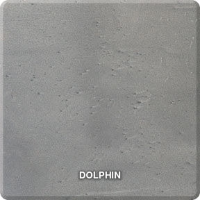 Thumbnail: Dolphin