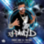 DJ Pauly D at The Rave