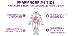 Pharmacokinetics booklet. administration, distribution, metabolism, excretion