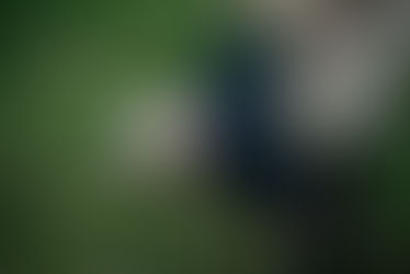 Spring Family Session at the Arboretum