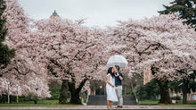 2026 Cherry Blossom & Spring Mini Sessions