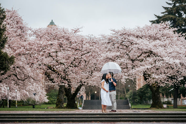 2026 Cherry Blossom & Spring Mini Sessions