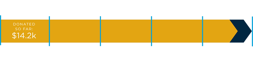 Total Fundraising Goal: $15,000. Donated so far: $14,200.