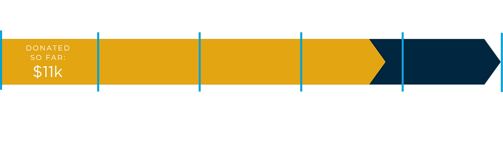 Total Fundraising Goal: $15,000. Donated so far: $11,000.