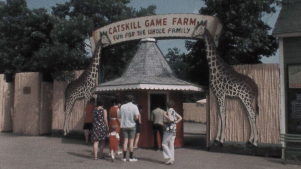 large_American_Zoo_clean_16x9(2).jpg