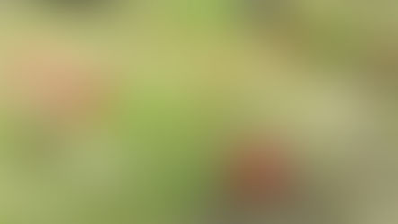 『無常といふ事』を読んで