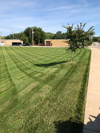 Serv-all turf stripes_edited.jpg