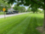 IMG_1075.jpeg