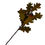 Thumbnail: Green Oak Leaf Pick