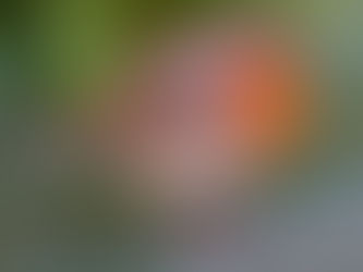 Exploring the Places We Stood A Journey of Memory and Beauty in Wales