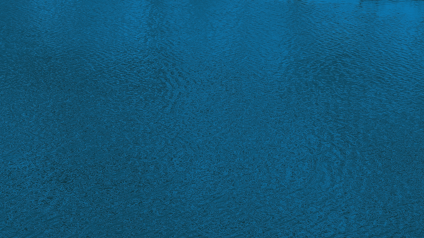 PAGINA WEB (1).png