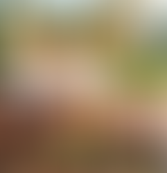 Bogotá y Santa Marta recibirán el 4º Congreso sobre Democracia y Derechos Humanos del 26 al 28 de agosto de 2026