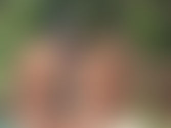 From the forrest to dignity 