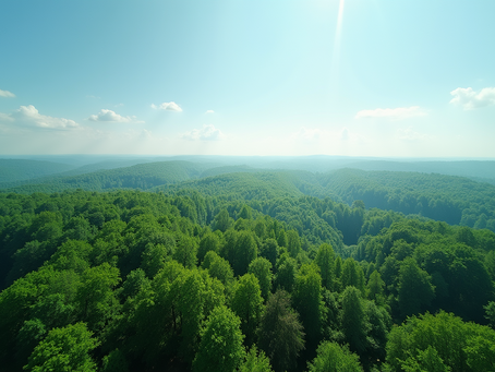 Leveraging ESG Analytics for Sustainable Business Strategies