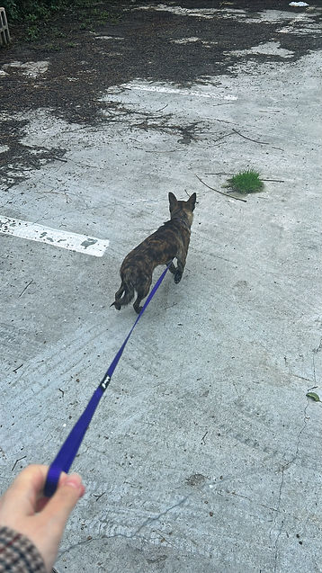 pepe cold_edited.jpg