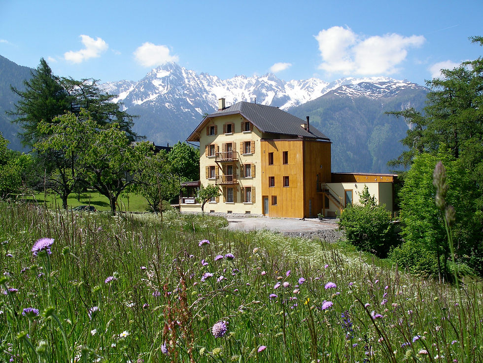 Retraite de yoga estivale