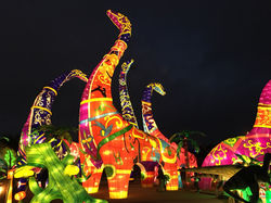 Magical winter lights