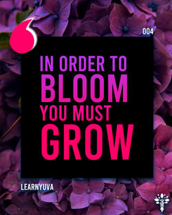 quote4.1.jpg