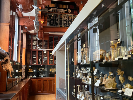 A Visit to UCL's Grant Museum of Zoology 