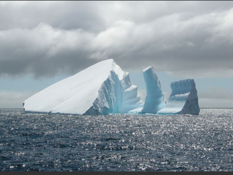 Icebergs A81 and A76a: What are they and why are they causing concern?