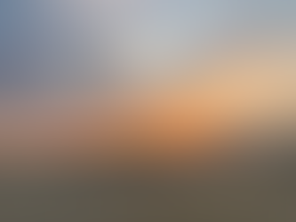 Why are Sunsets Red? The Optics of the Sky