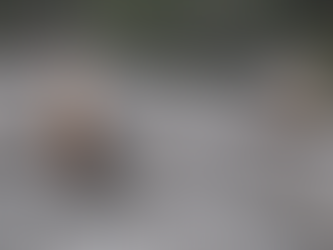 The Earth's Eternal Flames