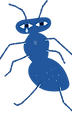 蟻の涙
