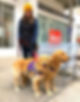 Training Walk.jpg