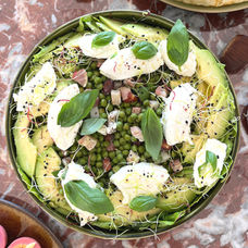 Salade de petits pois, lardons de guanciale, ricotta
