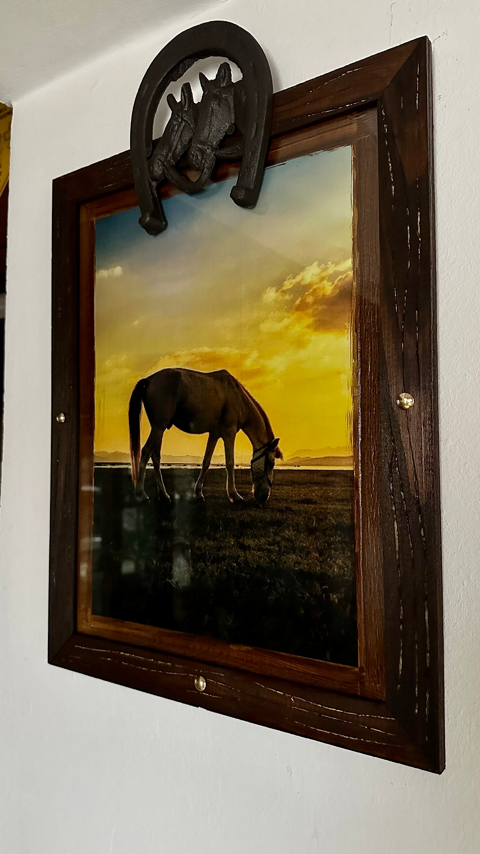 Miniatura: Cuadros de Caballos