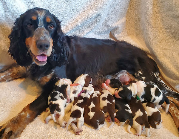 S proud mama,..jpg